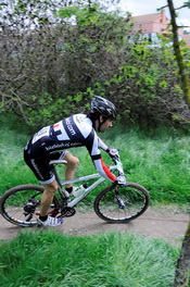 estella2012