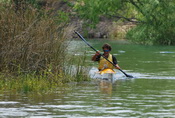 greenfivecanales