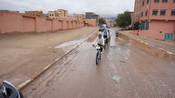 saharabike03
