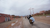 saharabike03