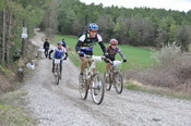 Volcat 2012
