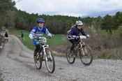 Volcat 2012