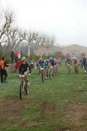 Volcat 2012