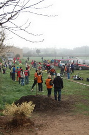 Volcat 2012