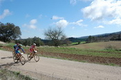 Volcat 2012