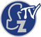 SalingZona TV