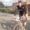 Xavier Clota de Bikezona Conor gana la Duatl�n de Pallej�