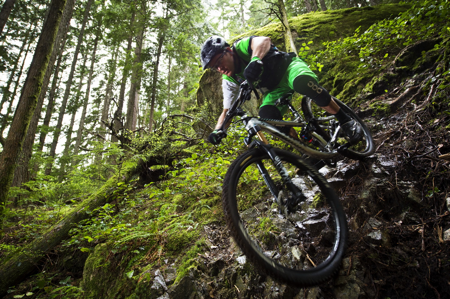 Fotos Trek Fuel Ex 29 y Remedy 29