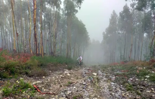 Imagen noticia ciclismo