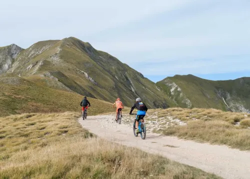 Imagen noticia ciclismo