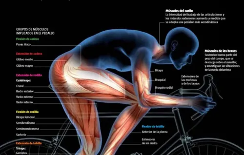 Imagen noticia ciclismo