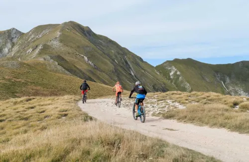 Imagen noticia ciclismo