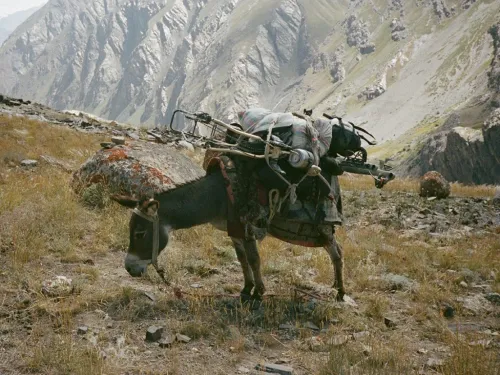 Imagen noticia ciclismo