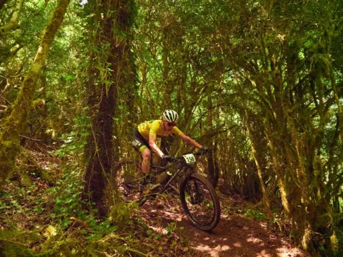 Imagen noticia ciclismo