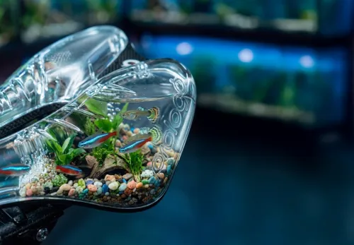 Imagen noticia ciclismo