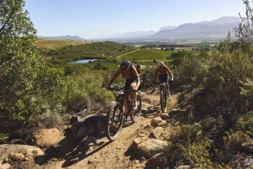 Imagen noticia ciclismo