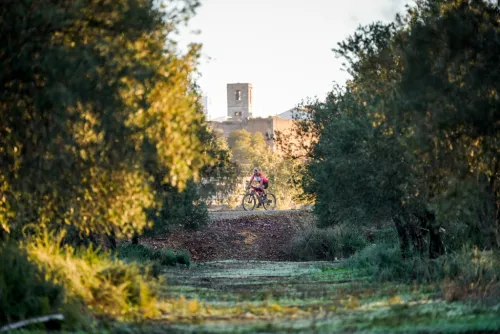 Imagen noticia ciclismo