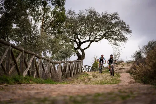 Imagen noticia ciclismo