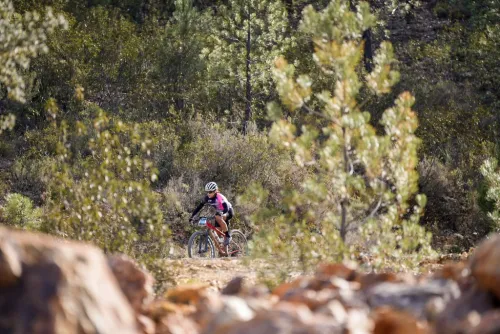 Imagen noticia ciclismo