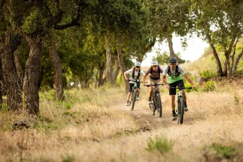 Imagen noticia ciclismo