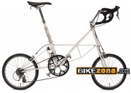MOULTON