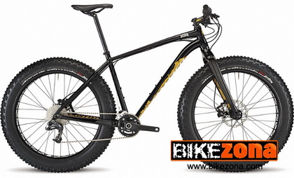 SPECIALIZED