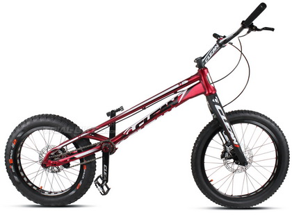 MONGOOSE