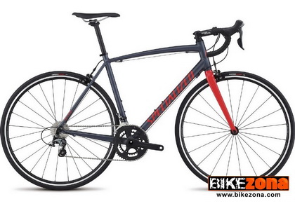 SPECIALIZED