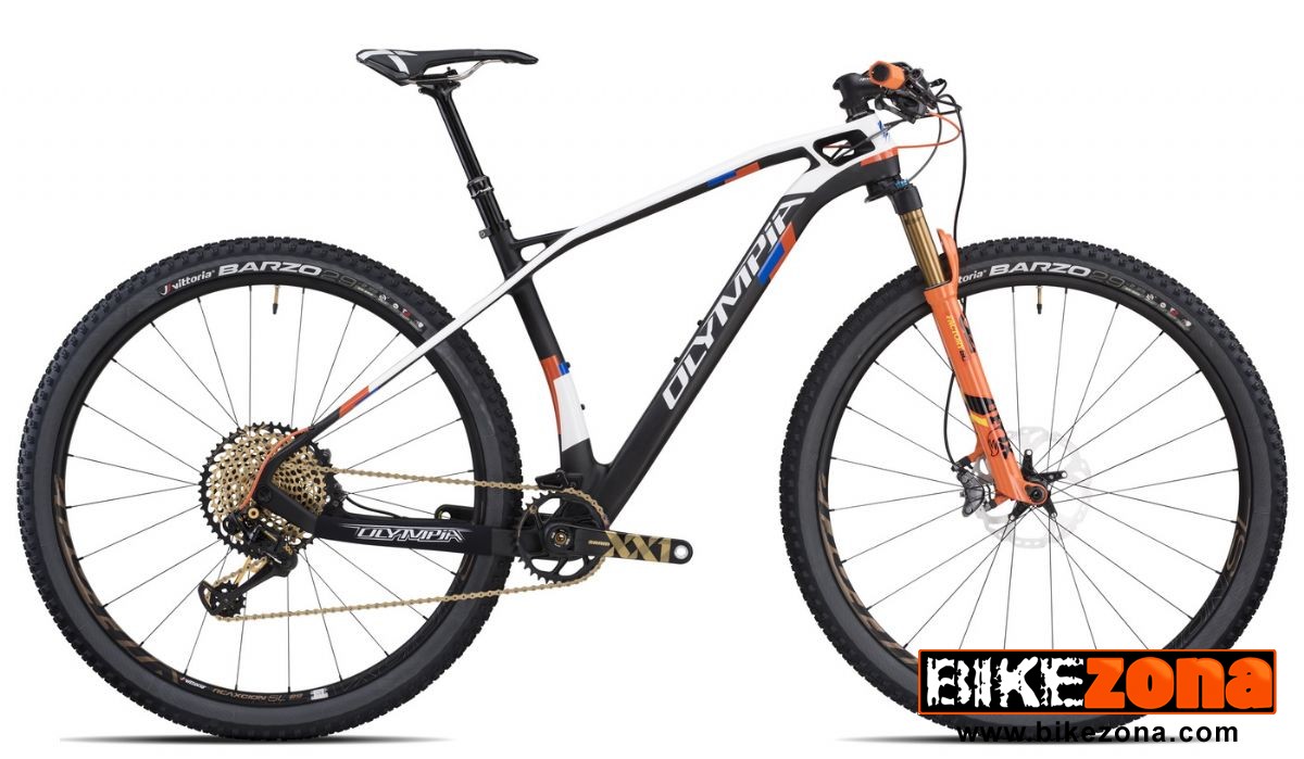 OLYMPIA F1 EVO-R1 REBA RL (2019) | Catálogo bicicletas MTB - RÍGIDA |  BikeZona.com